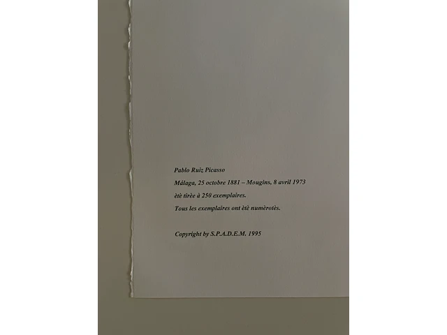 Pablo picasso - afbeelding 3 van  3