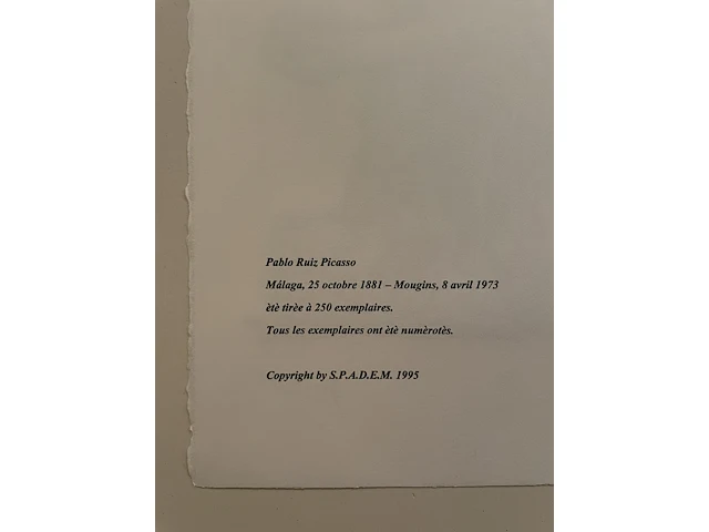 Pablo picasso - afbeelding 3 van  3