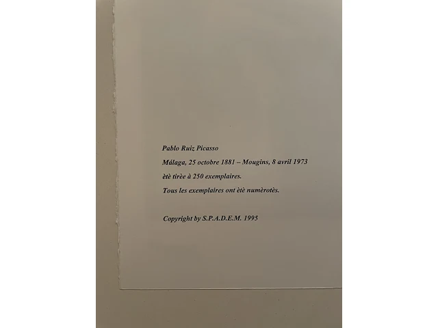 Pablo picasso - afbeelding 3 van  3