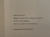 Pablo picasso - afbeelding 3 van  3