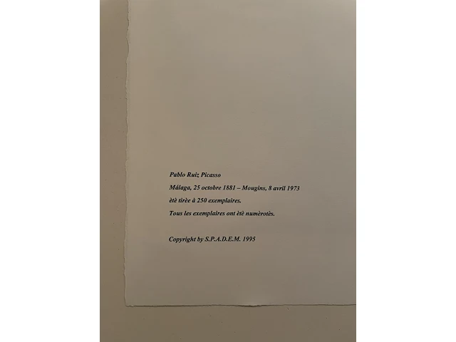 Pablo picasso - afbeelding 2 van  2
