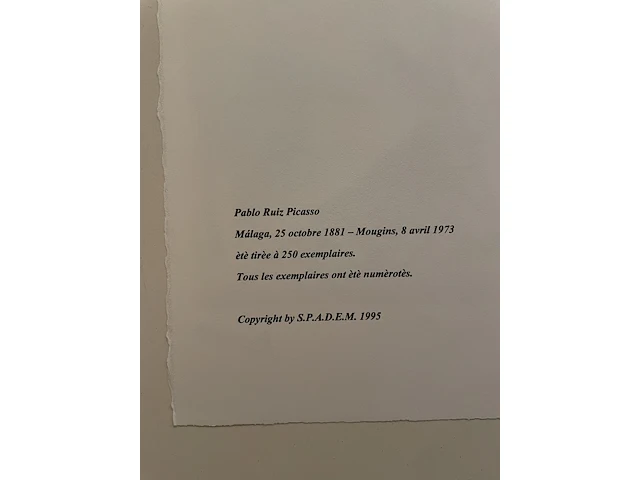 Pablo picasso - afbeelding 2 van  2