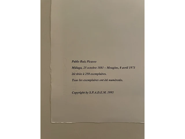 Pablo picasso - afbeelding 2 van  2