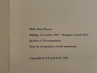 Pablo picasso - afbeelding 2 van  2