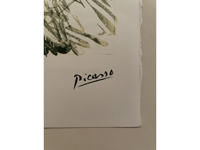 Pablo picasso - afbeelding 2 van  3