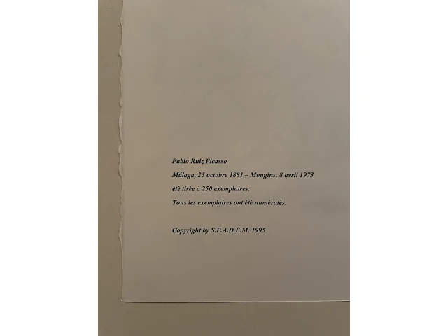 Pablo picasso - afbeelding 3 van  3