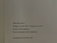 Pablo picasso - afbeelding 3 van  3