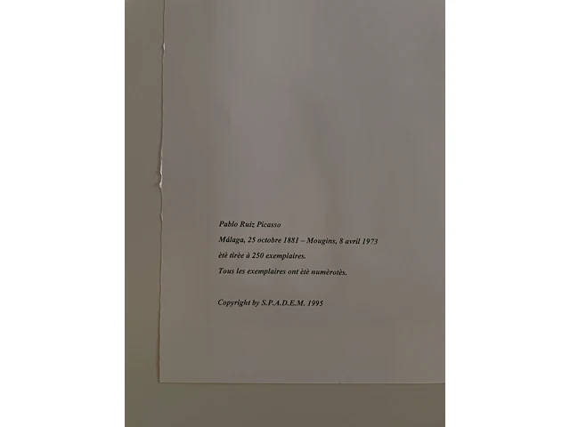 Pablo picasso - afbeelding 3 van  3