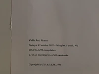 Pablo picasso - afbeelding 3 van  3