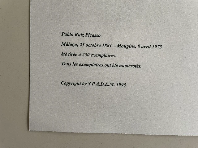 Pablo picasso - afbeelding 5 van  5