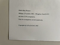 Pablo picasso - afbeelding 5 van  5