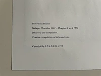 Pablo picasso - afbeelding 5 van  5