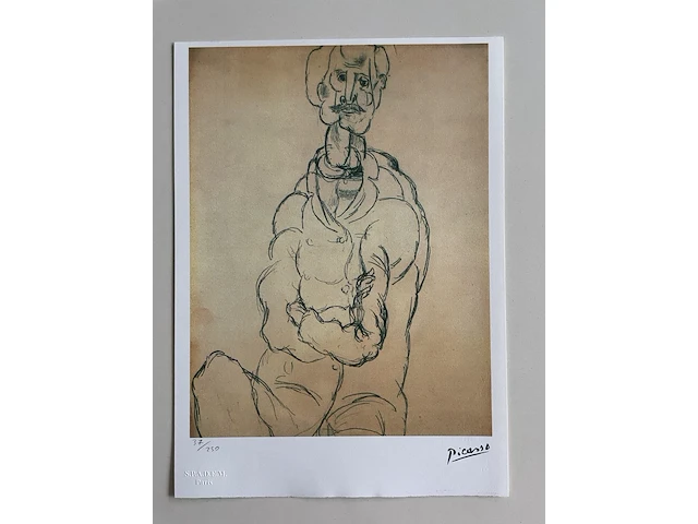 Pablo picasso - afbeelding 1 van  5