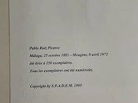 Pablo picasso - afbeelding 5 van  5