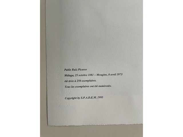 Pablo picasso - afbeelding 5 van  5