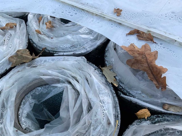 Pallet dakleer - afbeelding 7 van  8