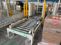 Pallet invoer unit met rollenbaan - afbeelding 11 van  17