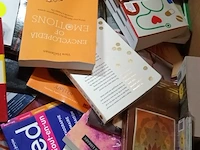 Palletdoos boeken/wegenkaarten/kinderboeken diversen - afbeelding 2 van  6