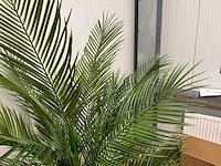 Palm tree kunstplant (165cm hoog) - afbeelding 16 van  17