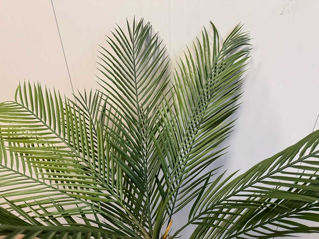 Palm tree kunstplant (2x) (150cm hoog) - afbeelding 10 van  13