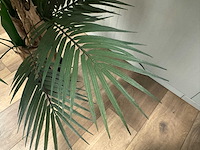 Palm tree kunstplant (2x) (165cm hoog) - afbeelding 5 van  17
