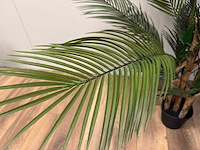 Palm tree kunstplant (2x) (165cm hoog) - afbeelding 7 van  17