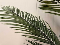 Palm tree kunstplant (2x) (165cm hoog) - afbeelding 14 van  17