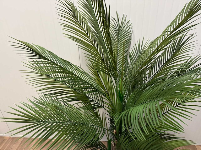 Palm tree kunstplant (2x) (165cm hoog) - afbeelding 17 van  17