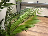 Palm tree kunstplant (2x) (210cm hoog) - afbeelding 4 van  16
