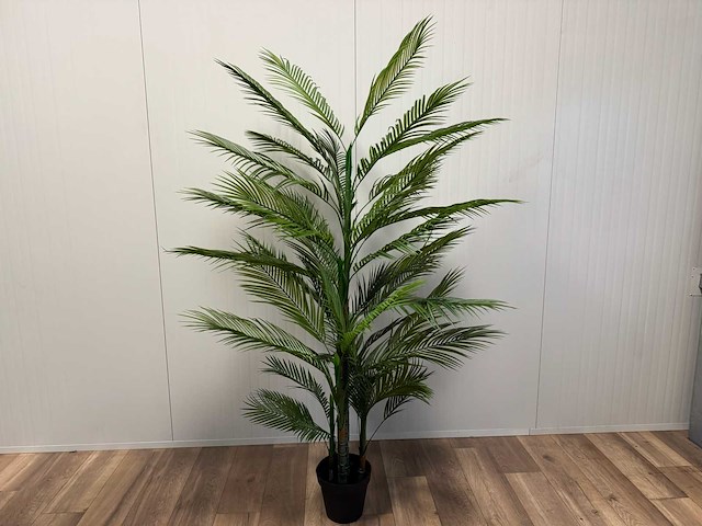 Palm tree kunstplant (2x) (210cm hoog) - afbeelding 1 van  16