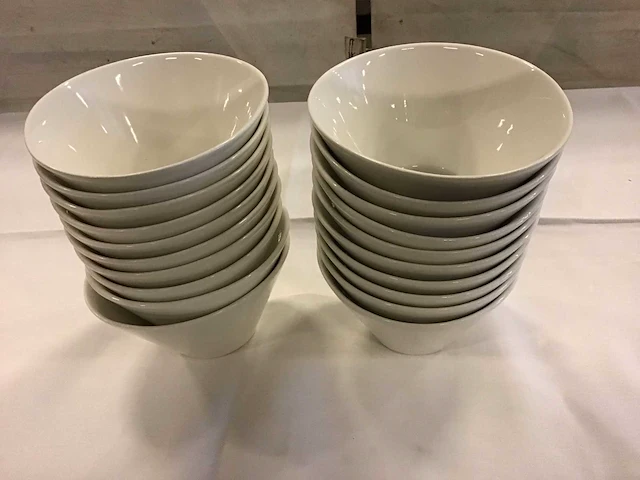 Palmer schaal 15 cm (20x) - afbeelding 1 van  3