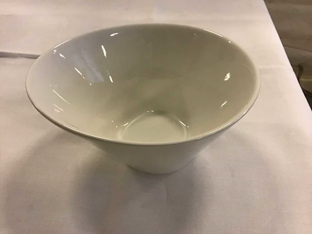 Palmer schaal 15 cm (20x) - afbeelding 2 van  3