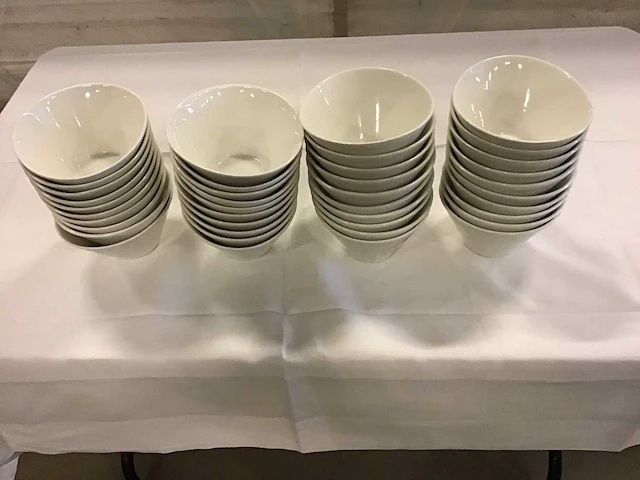 Palmer schaal 15 cm (40x) - afbeelding 1 van  3