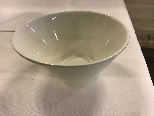 Palmer schaal 15 cm (40x) - afbeelding 2 van  3