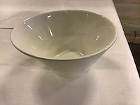 Palmer schaal 15 cm (40x) - afbeelding 2 van  3
