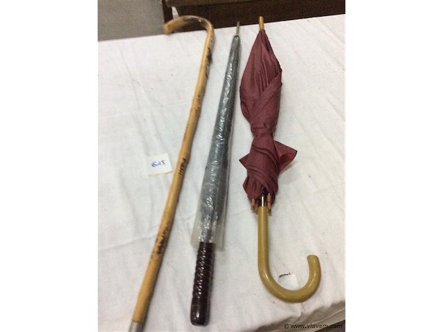 Paraplu's 2stuks + wandelstok - afbeelding 1 van  2