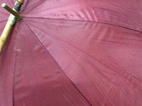 Paraplu's 2stuks + wandelstok - afbeelding 2 van  2