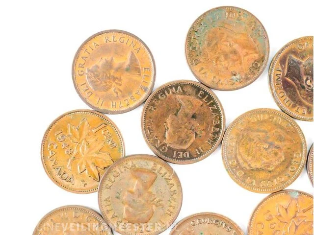 Particuliere inbreng munten canada - afbeelding 4 van  11