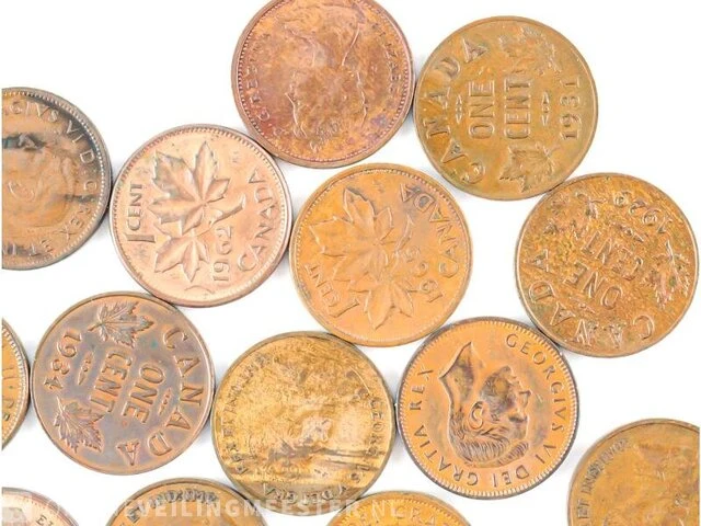 Particuliere inbreng munten canada - afbeelding 7 van  11
