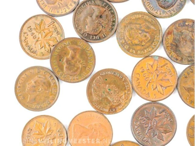 Particuliere inbreng munten canada - afbeelding 10 van  11