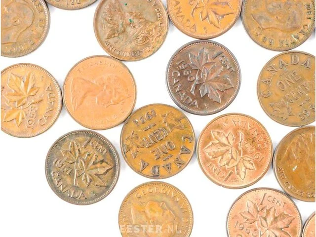 Particuliere inbreng munten canada - afbeelding 11 van  11