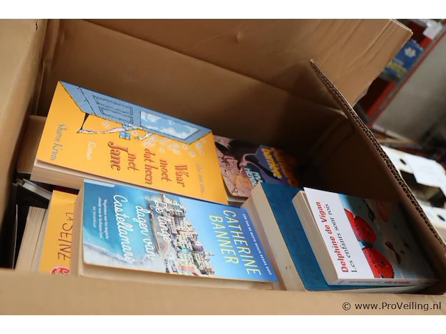Partij boeken, diverse titels - 165 stuks - afbeelding 3 van  3