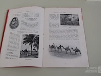 Partij boeken "egypte" - afbeelding 13 van  13