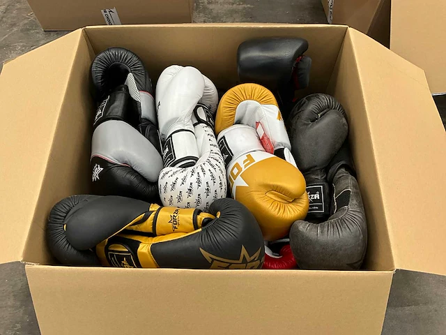 Partij boks en kickboks artikelen - afbeelding 6 van  11