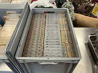 Partij chocolademallen - afbeelding 4 van  30