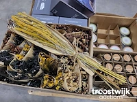 Partij consumentengoederen - afbeelding 6 van  8