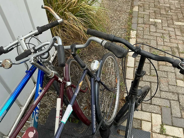 Partij dames-en herenfietsen - afbeelding 6 van  14
