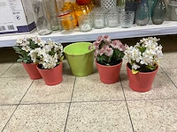 Partij decoratie - afbeelding 3 van  12