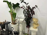 Partij decoratiemateriaal - afbeelding 4 van  6