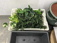 Partij decoratiemateriaal - afbeelding 4 van  7